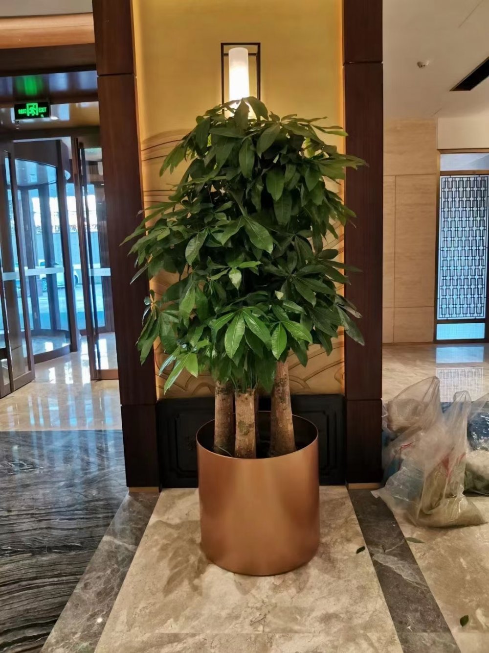 酒店植物租擺案例